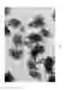 Fig. 08 - Cationic polymers and porous materials