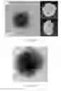 Fig. 28 - Cationic polymers and porous materials