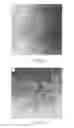 Fig. 32 - Cationic polymers and porous materials