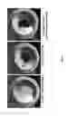 Fig. 02 - Protection and selective release of colorant