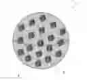 Fig. 01 - Uniformly encapsulated nanoparticles and uses thereof