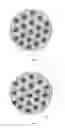 Fig. 02 - Uniformly encapsulated nanoparticles and uses thereof