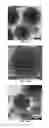 Fig. 09 - Uniformly encapsulated nanoparticles and uses thereof