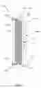 Fig. 06 - Fuel-cell reactor
