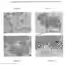Fig. 02 - Method for separating cells using immunorosettes and magnetic particles