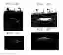 Fig. 09 - In vitro growth of tissues suitable to the formation of bone and bone forming tissue formed thereby