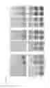 Fig. 05 - Oncolytic virus strain