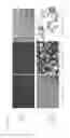 Fig. 18 - Oncolytic virus strain