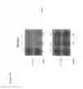 Fig. 23 - Oncolytic virus strain