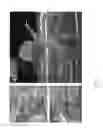 Fig. 12 - Stilbenoid prenyltransferases from plants