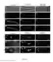 Fig. 40 - Stilbenoid prenyltransferases from plants