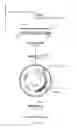 Fig. 67 - Stilbenoid prenyltransferases from plants