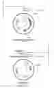 Fig. 78 - Stilbenoid prenyltransferases from plants