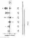 Fig. 02 - COMPOSITIONS AND METHODS FOR MODULATION OF SMN2 SPLICING IN A SUBJECT