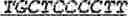 Fig. 53 - TARGETED MRNA FOR IN VIVO APPLICATION