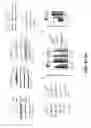 Fig. 07 - Method of treating VEGF/VEGFR resistant prostate cancer by combining the therapy with RAC1 inhibitors
