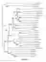 Fig. 02 - Methods and compositions for plant pest control