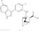 Fig. 07 - Assay for compounds having activity against influenza