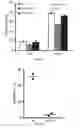 Fig. 14 - METHODS OF DIAGNOSING AND TREATING B CELL ACUTE LYMPHOBLASTIC LEUKEMIA