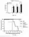 Fig. 17 - METHODS OF DIAGNOSING AND TREATING B CELL ACUTE LYMPHOBLASTIC LEUKEMIA