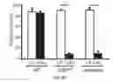 Fig. 20 - METHODS OF DIAGNOSING AND TREATING B CELL ACUTE LYMPHOBLASTIC LEUKEMIA