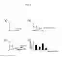 Fig. 04 - Microarray for detection of mutations in beta-globin genes and detection method thereof