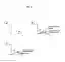 Fig. 05 - Microarray for detection of mutations in beta-globin genes and detection method thereof