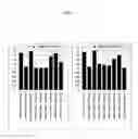 Fig. 08 - Microarray for detection of mutations in beta-globin genes and detection method thereof