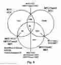 Fig. 09 - Method of determining the prognosis of hepatocellular carcinomas using a multigene signature associated with metastasis