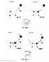 Fig. 41 - Massively parallel single cell analysis
