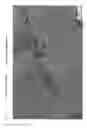 Fig. 08 - NICKEL-COBALT ALLOY
