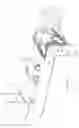 Fig. 53 - Autonomous pool cleaning robot with an external docking station