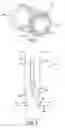 Fig. 02 - SYSTEM AND METHOD FOR TREATING A BOREHOLE