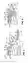 Fig. 04 - Direct pinion mount constant velocity joint