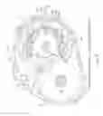 Fig. 08 - Automatic transmission and method of manufacturing automatic transmission