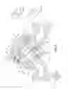 Fig. 09 - Fluid throttling valve