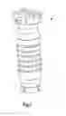 Fig. 02 - Vertical fore grip with bipod