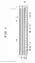 Fig. 02 - Lighting apparatus, line sensor assembly, reading apparatus, and printing apparatus