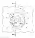 Fig. 01 - Sensor assembly with a cover forming a spherical joint
