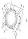 Fig. 10 - Adjustable mounting system