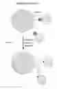 Fig. 07 - Isolation, detection and use of biological cells