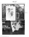 Fig. 28 - Water content of a part of plant evaluation method and water content of a part of plant evaluation apparatus