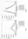 Fig. 08 - Fluorescent compounds as sensing agents