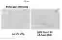 Fig. 05 - METHOD FOR PREPARING SENESCENT MELANOCYTES, CELLS PREPARED BY METHOD, AND METHOD FOR SCREENING FOR SENESCENCE-ALLEVIATING MATERIAL BY USING CELLS
