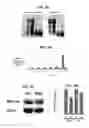 Fig. 04 - Methods for determining molecule folding associated with proteopathies