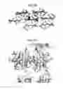 Fig. 09 - Methods for determining molecule folding associated with proteopathies
