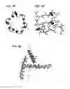 Fig. 10 - Methods for determining molecule folding associated with proteopathies
