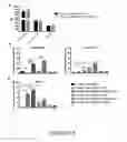 Fig. 05 - METHODS FOR CLASSIFYING TUMORS AND USES THEREFOR