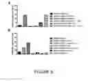 Fig. 06 - METHODS FOR CLASSIFYING TUMORS AND USES THEREFOR