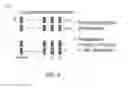 Fig. 03 - Test response compaction scheme